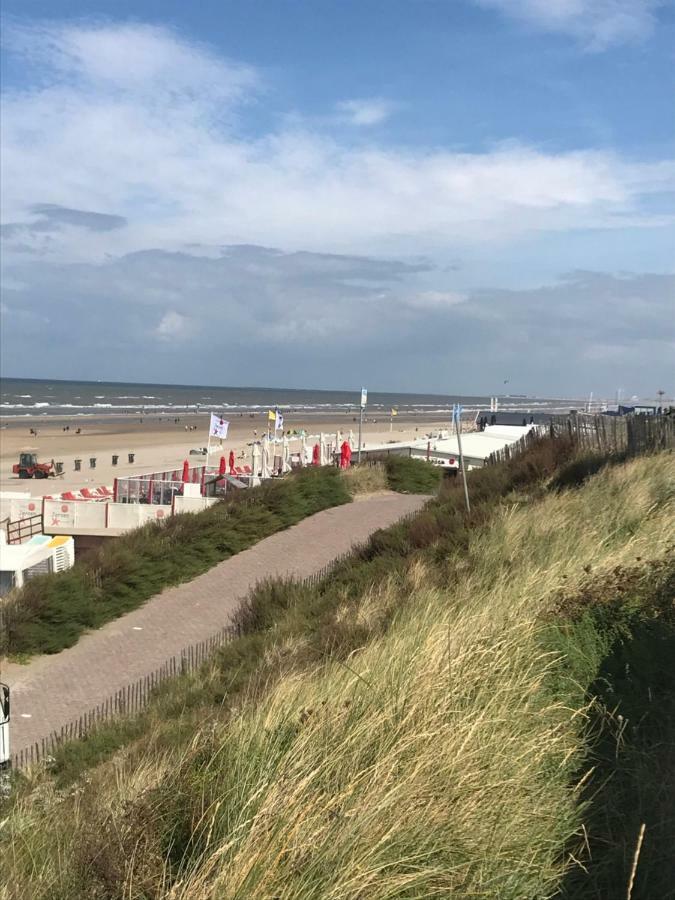 Zomerhuis Aan Zee 잔드보르트 외부 사진